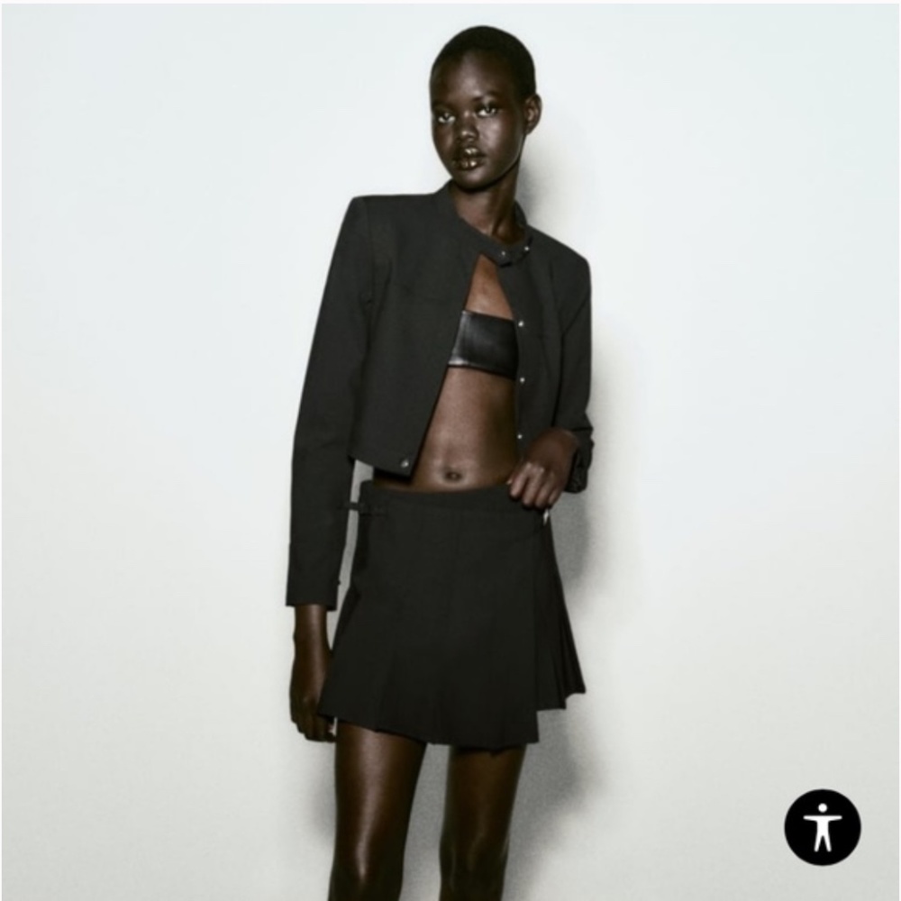 Zara NWT (Skirt Only)